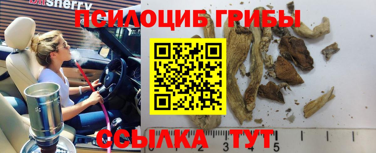 Галлюциногенные грибы Magic Shrooms  Вход с VPN  где продают   Пушкино 